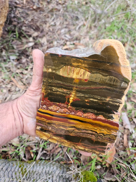 Polished Tiger Eye slab TE403