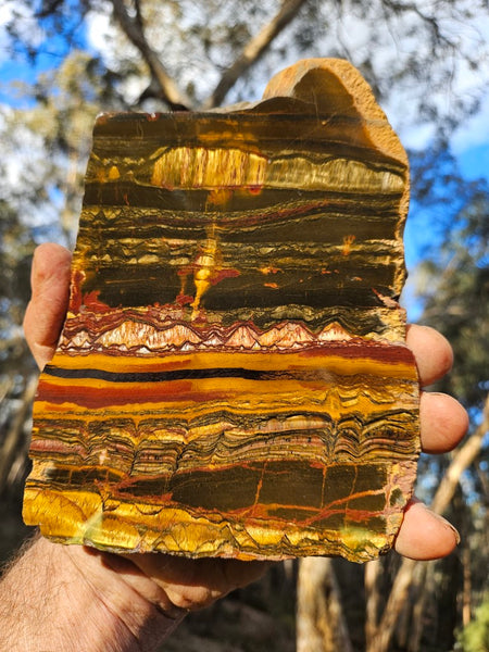 Polished Tiger Eye slab TE403