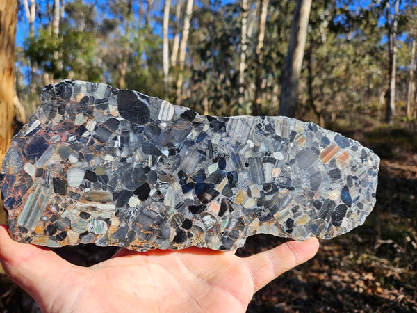 Black Jasper Conglomerate slab B226