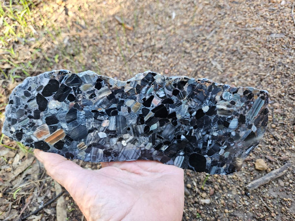 Black Jasper Conglomerate slab B226