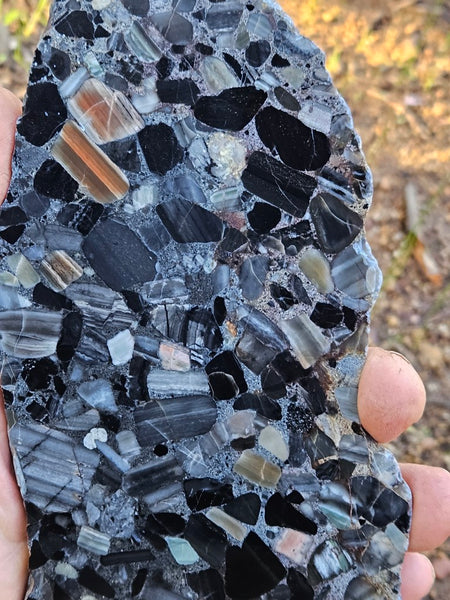 Black Jasper Conglomerate slab B226