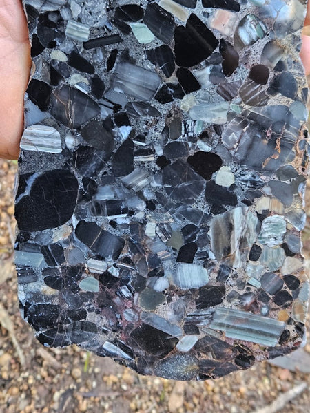 Black Jasper Conglomerate slab B226