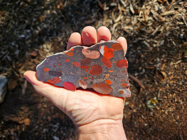 Jelly Bean Jasper polished slab JBJ341