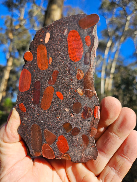 Jelly Bean Jasper polished slab JBJ342