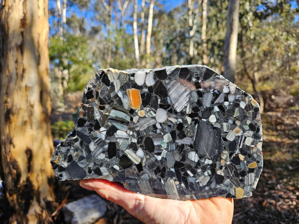 Black Jasper Conglomerate B227