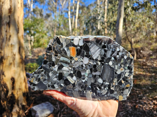 Black Jasper Conglomerate B227