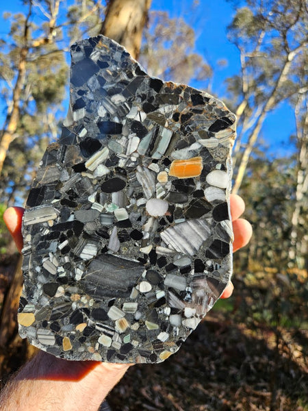 Black Jasper Conglomerate B227