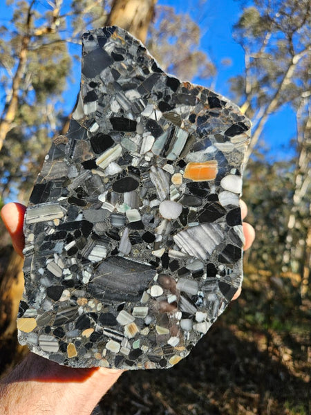 Black Jasper Conglomerate B227