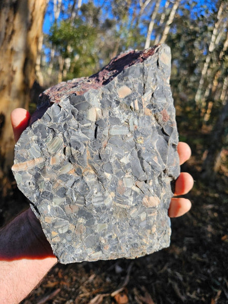 Black Jasper Conglomerate B227