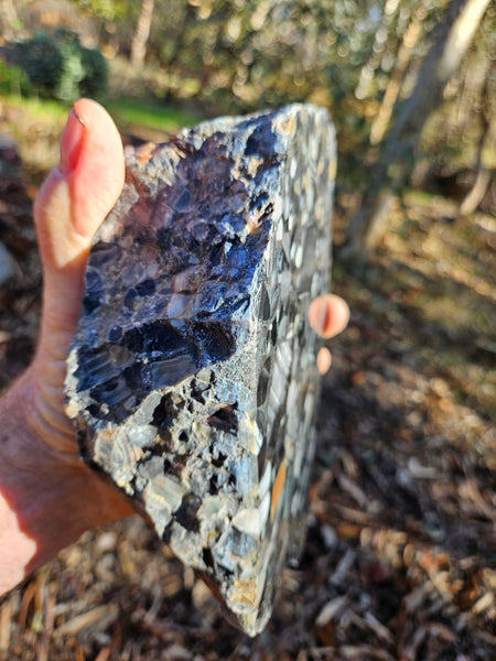 Black Jasper Conglomerate B227