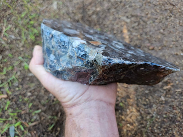 Black Jasper Conglomerate B227