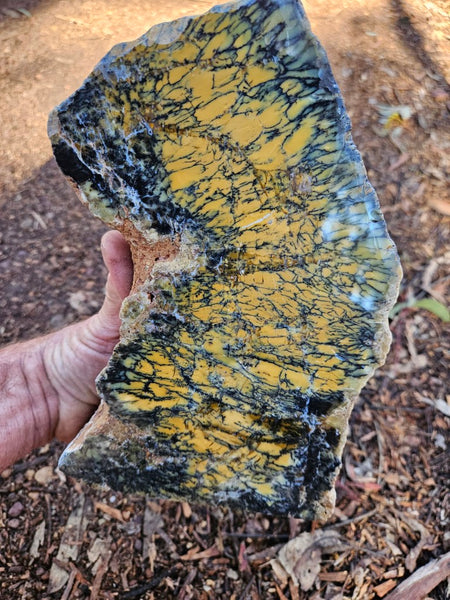 Polished Dendritic Opal DO196