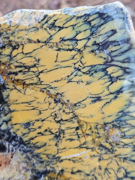 Polished Dendritic Opal DO196