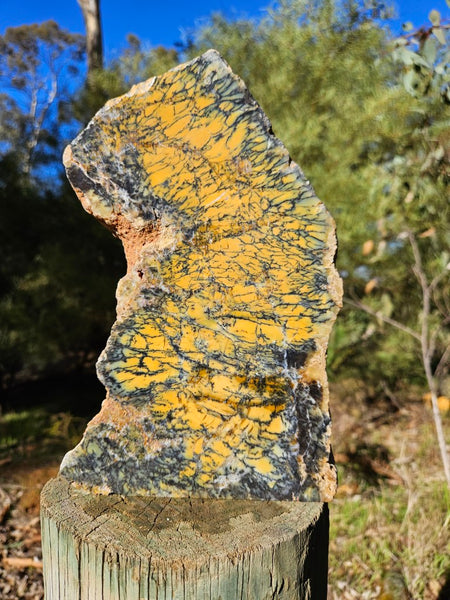 Polished Dendritic Opal DO196