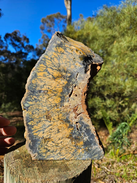 Polished Dendritic Opal DO196