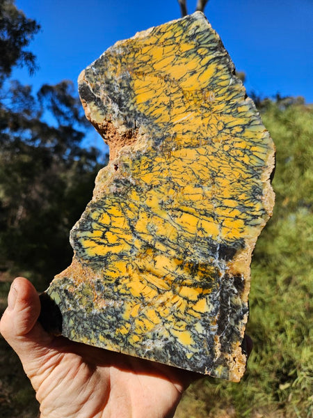 Polished Dendritic Opal DO196