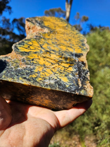 Polished Dendritic Opal DO196