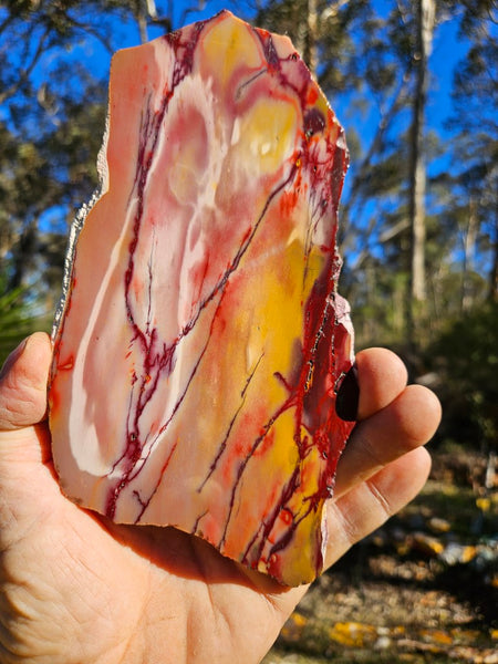 Polished Mookaite MK477