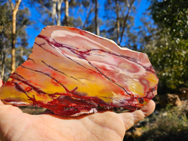 Polished Mookaite MK477