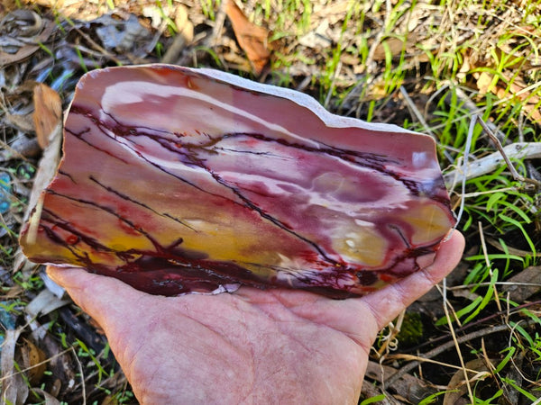 Polished Mookaite MK477