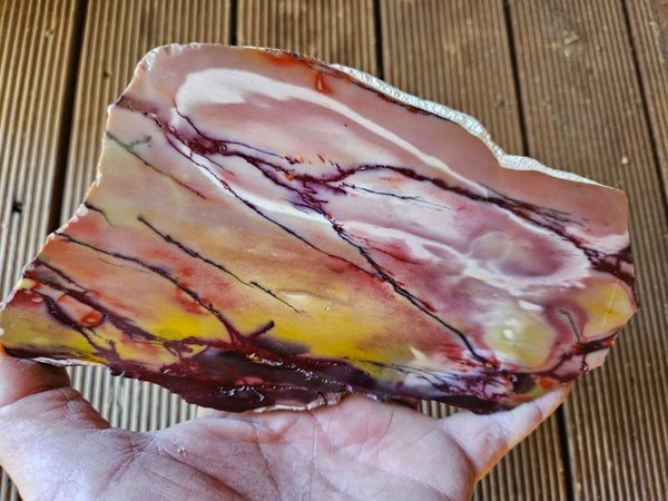 Polished Mookaite MK477