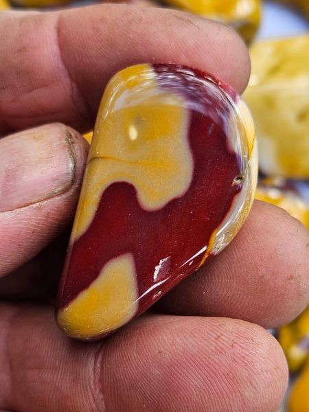 Tumble Polished Mookaite MKT172