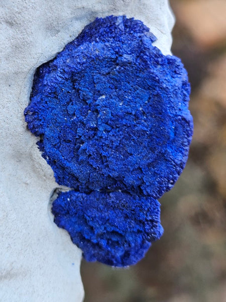 Azurite Sun  AZ130