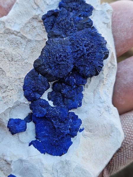 Azurite Sun  AZ131