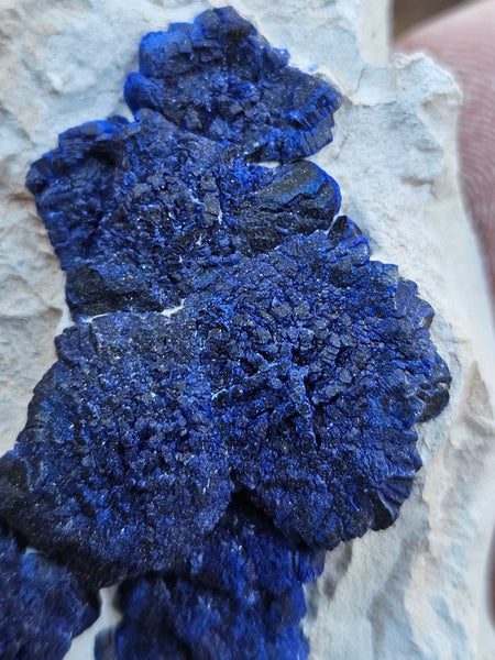 Azurite Sun  AZ131