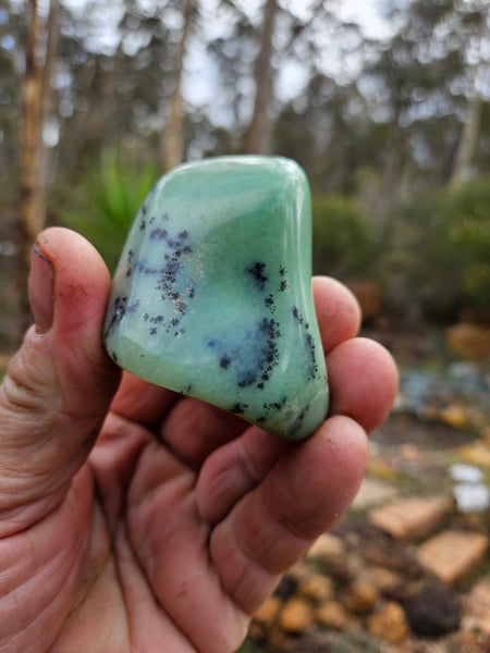 Tumble Polished Chrysoprase CHT152