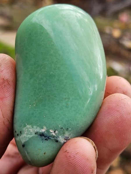 Tumble Polished Chrysoprase CHT152