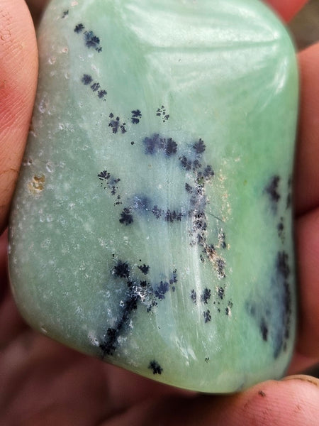 Tumble Polished Chrysoprase CHT152