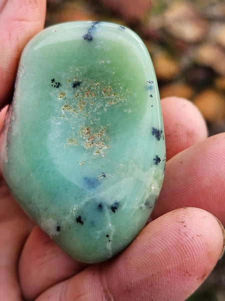 Tumble Polished Chrysoprase CHT152