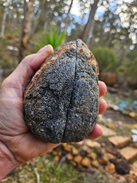 Pair of polished Orbicular Granite. OG195