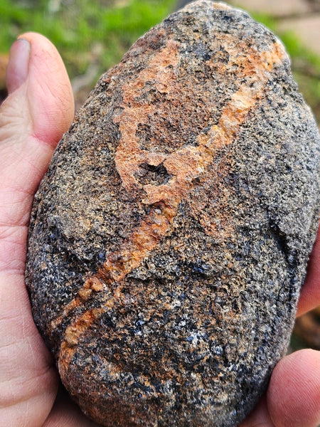 Pair of polished Orbicular Granite. OG195