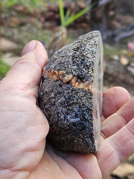 Pair of polished Orbicular Granite. OG195