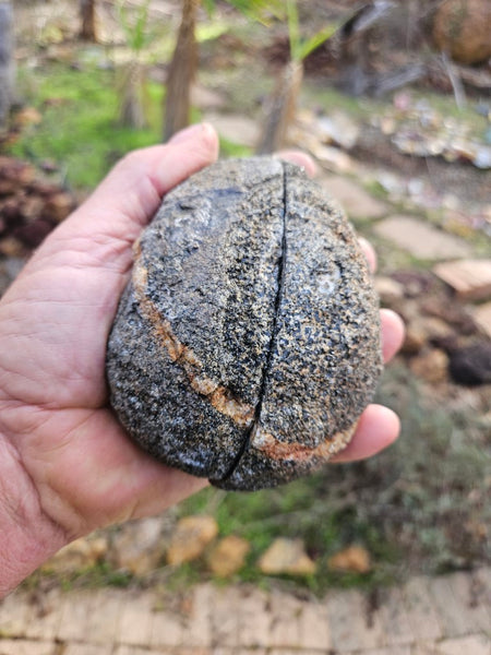 Pair of polished Orbicular Granite. OG195