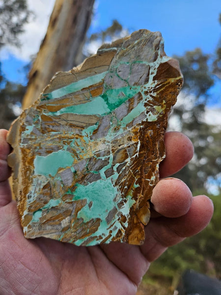 Variscite Polished Slab.  VP 273