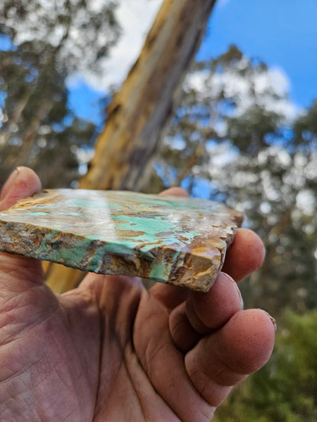 Variscite Polished Slab.  VP 273