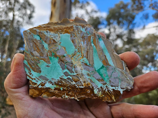 Variscite Polished Slab.  VP 273