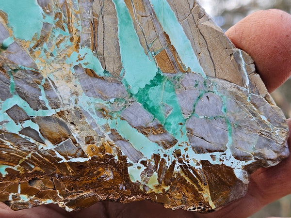 Variscite Polished Slab.  VP 273