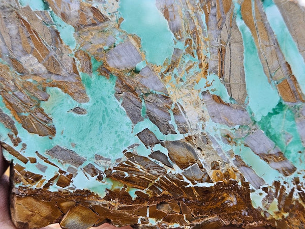 Variscite Polished Slab.  VP 273