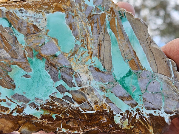 Variscite Polished Slab.  VP 273