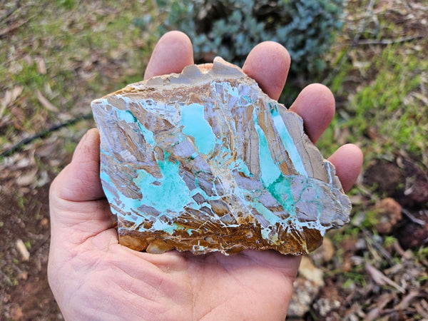 Variscite Polished Slab.  VP 273