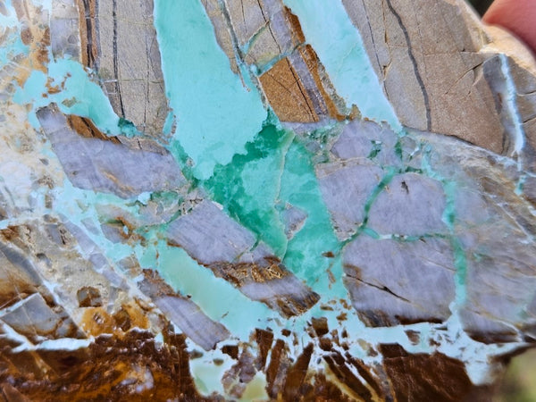 Variscite Polished Slab.  VP 273