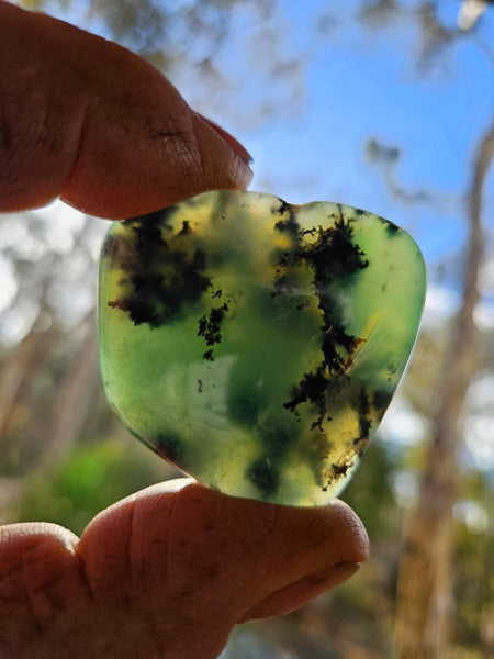 Tumble Polished Chrysoprase CHT153