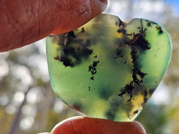 Tumble Polished Chrysoprase CHT153