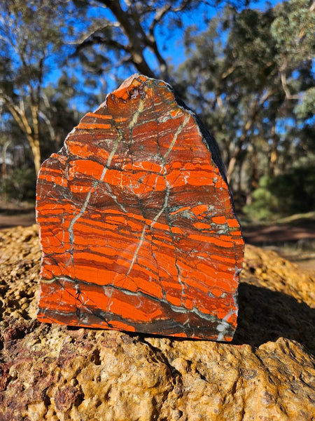 Starry Jasper polished display specimen SJ147