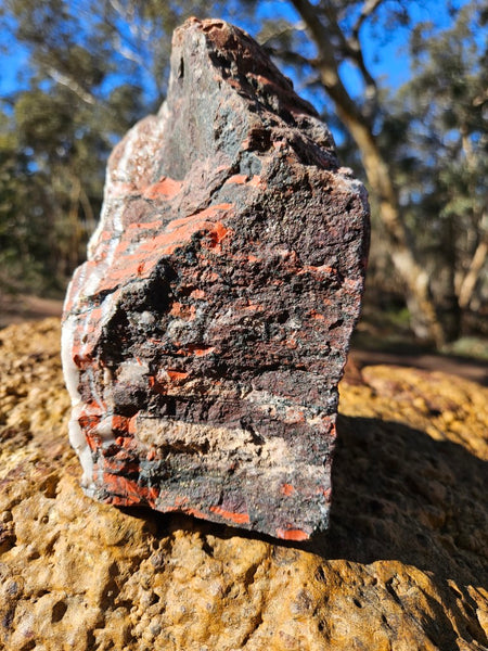 Starry Jasper polished display specimen SJ147