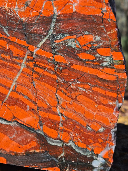 Starry Jasper polished display specimen SJ147